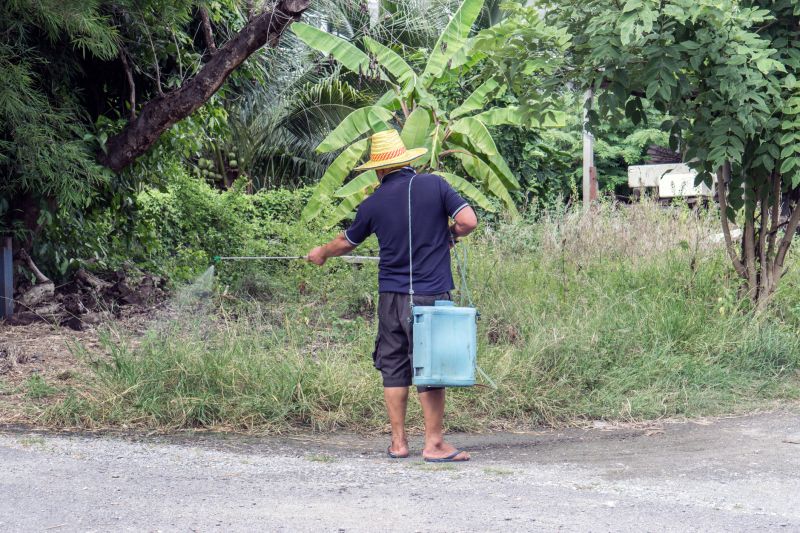 Marijuana Odor Removal