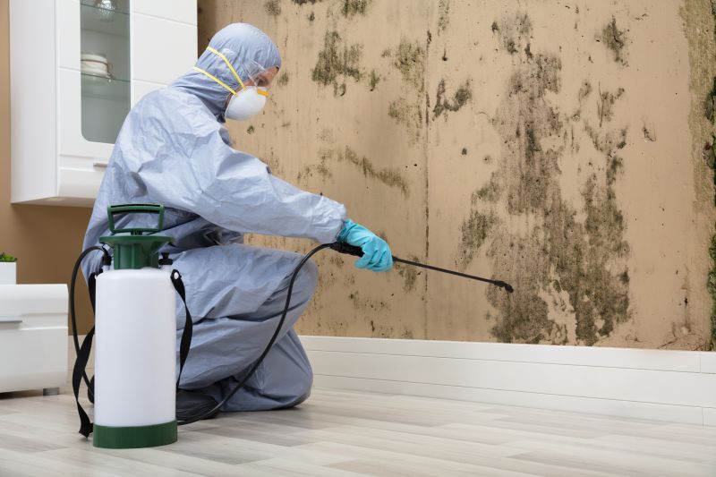 Professional Odor Removal Services